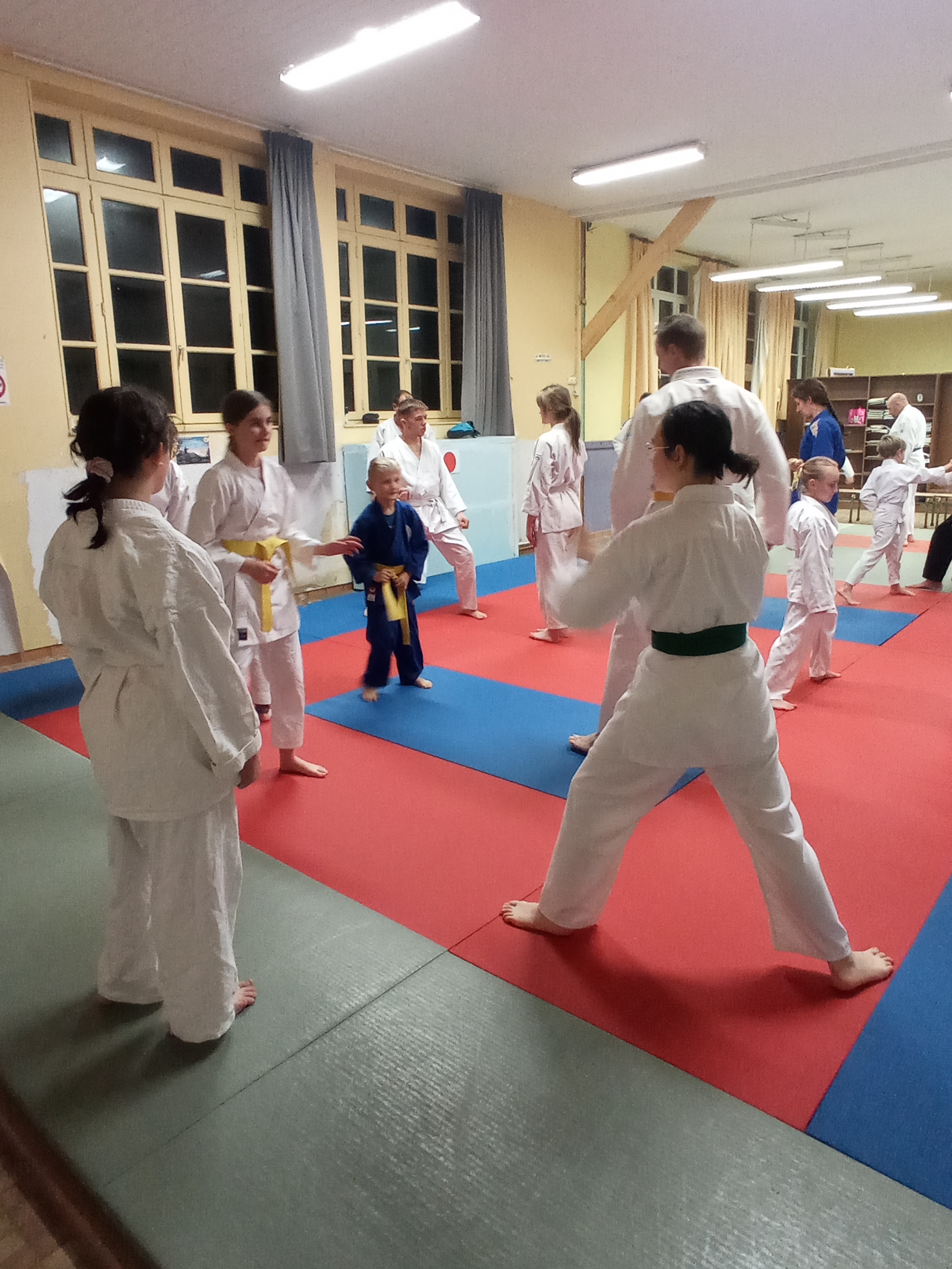 karaté club de karaté esprit de la main vide condé sur noireau condé en normandie Valdallière, Vassy, Karaté Shotokan