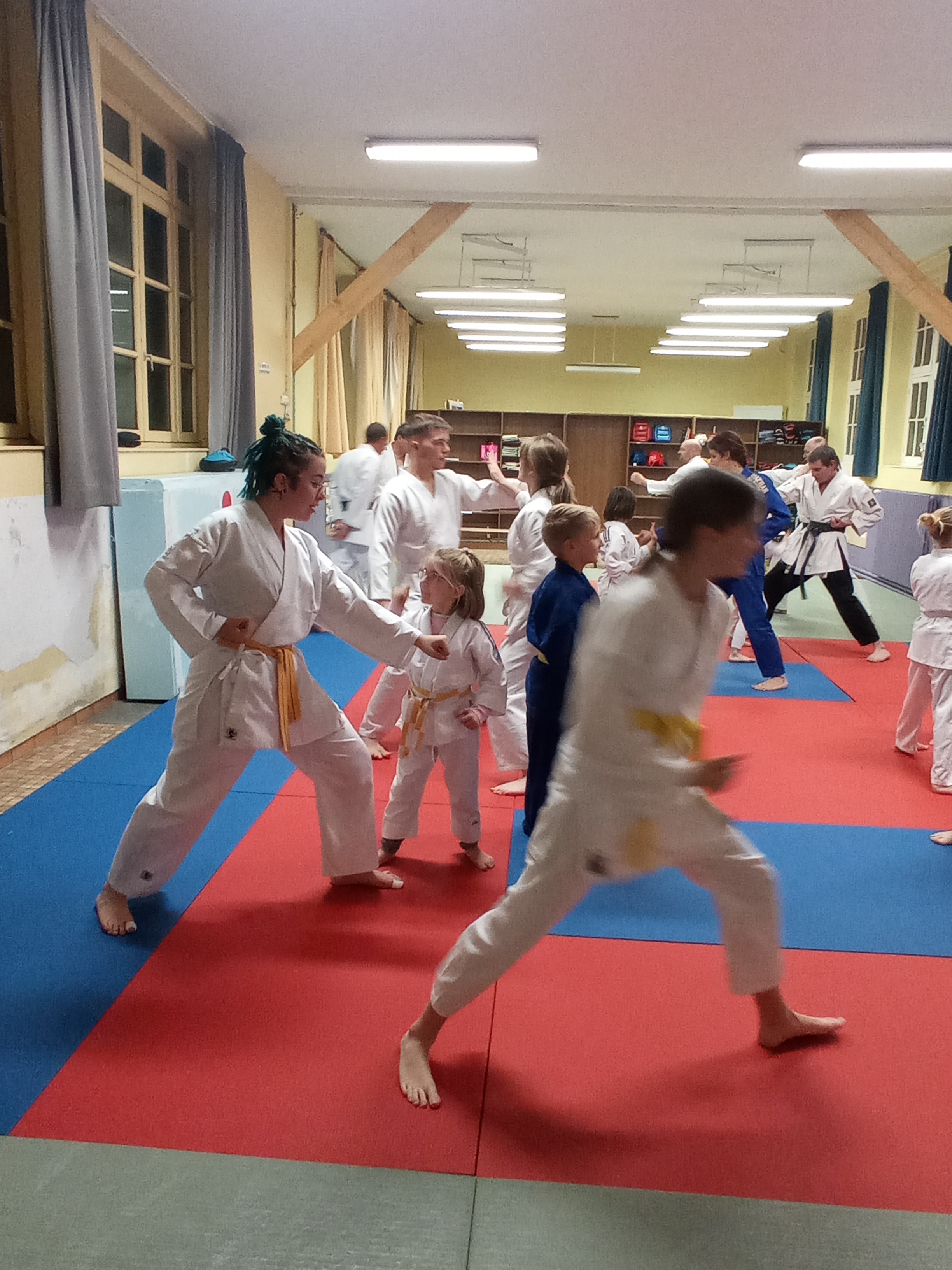 karaté club de karaté esprit de la main vide condé sur noireau condé en normandie Valdallière, Vassy, Karaté Shotokan