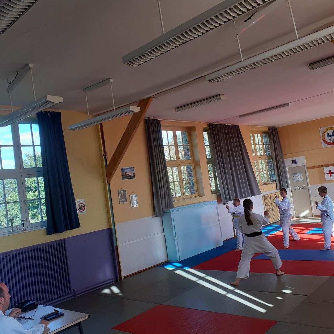 Basse Normandie karaté club de karaté esprit de la main vide condé sur noireau condé en normandie Valdallière Vassy Karaté Shotokan