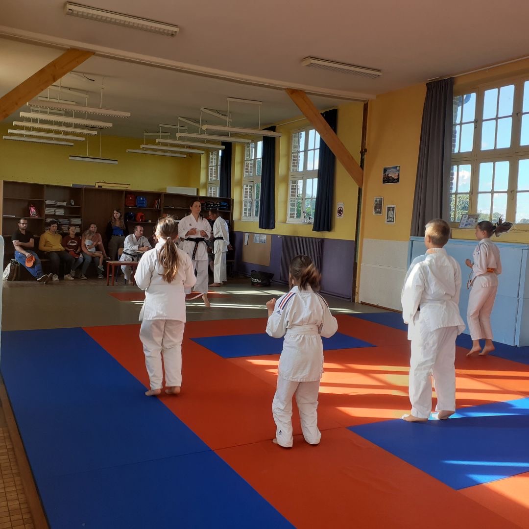 Basse Normandie karaté club de karaté esprit de la main vide condé sur noireau condé en normandie Valdallière Vassy Karaté Shotokan