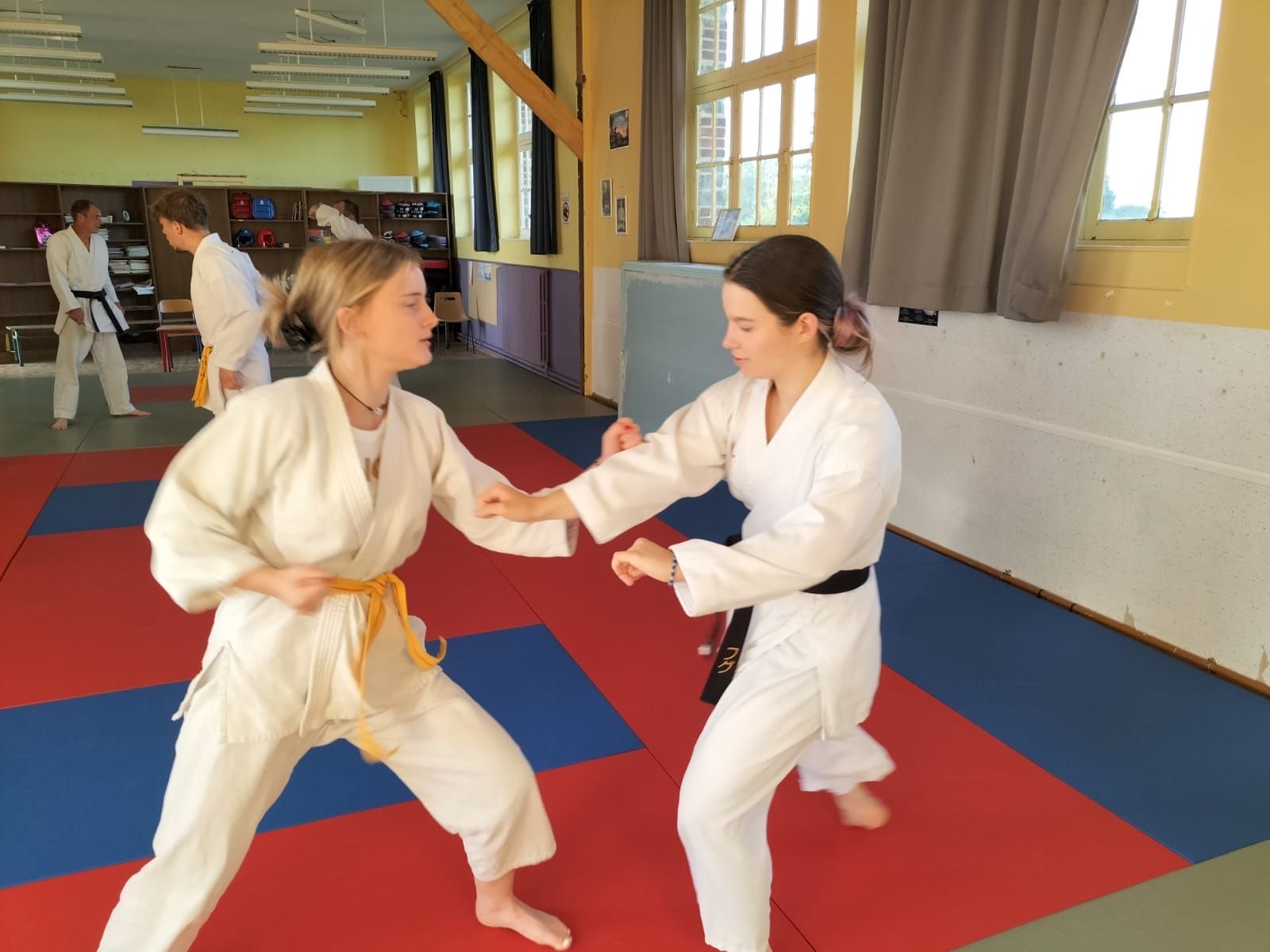 Basse Normandie karaté club de karaté esprit de la main vide condé sur noireau condé en normandie Valdallière Vassy Karaté Shotokan