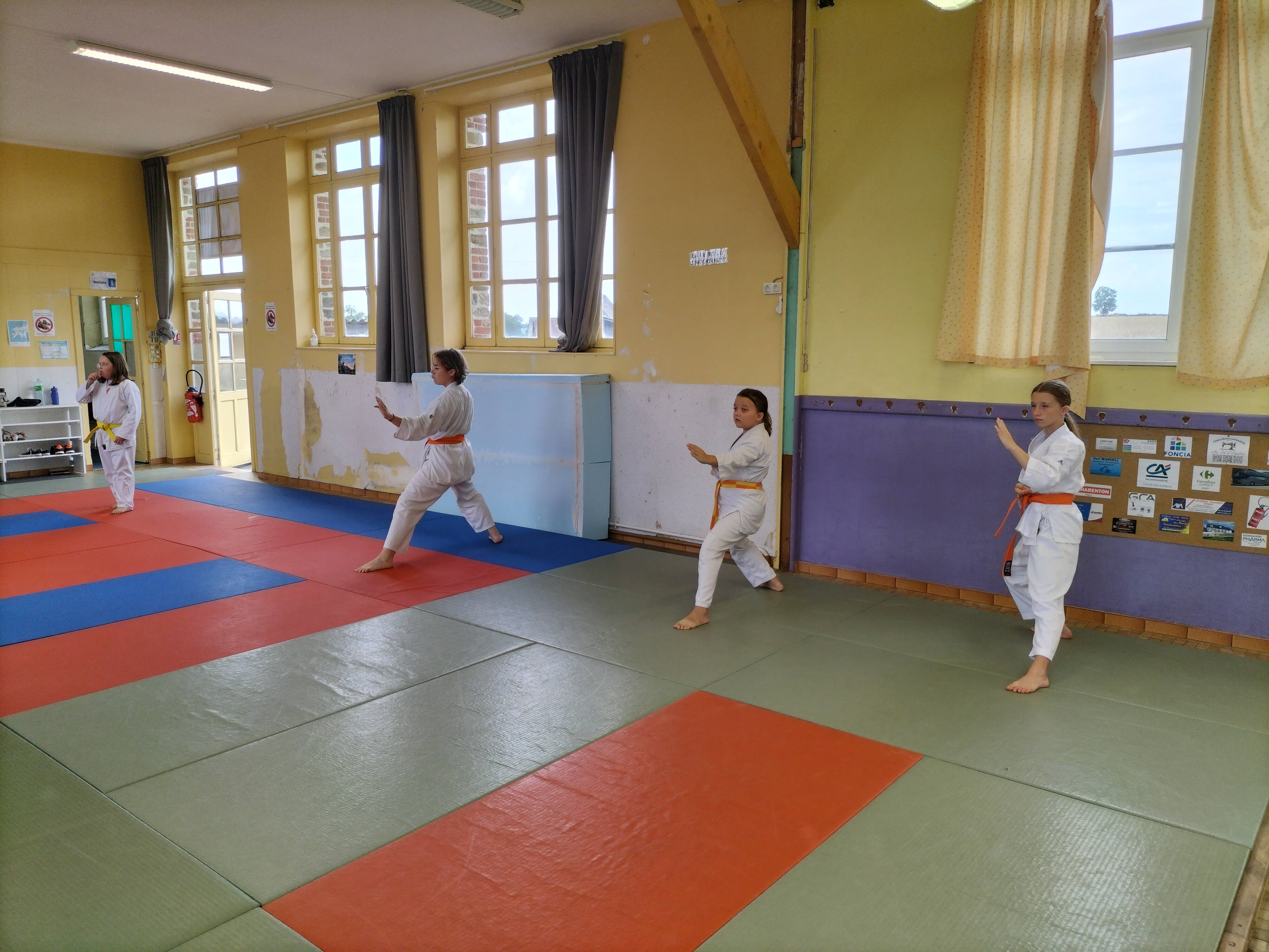 Basse Normandie karaté club de karaté esprit de la main vide condé sur noireau condé en normandie Valdallière Vassy Karaté Shotokan