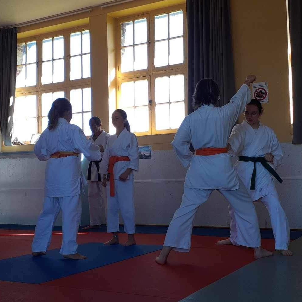 Basse Normandie karaté club de karaté esprit de la main vide condé sur noireau condé en normandie Valdallière Vassy Karaté Shotokan