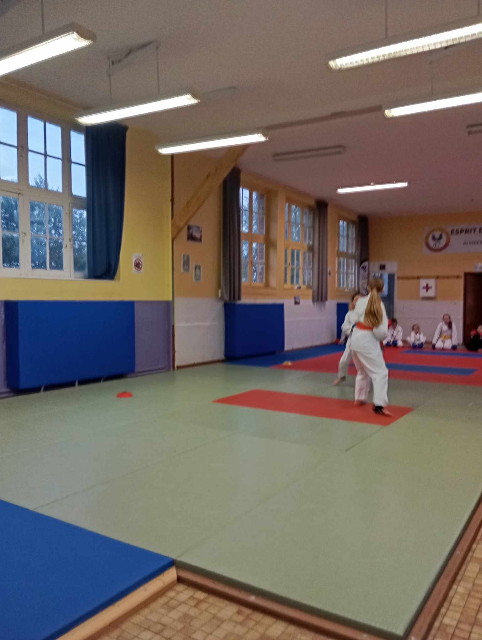 Basse Normandie karaté club de karaté esprit de la main vide condé sur noireau condé en normandie Valdallière Vassy Karaté Shotokan