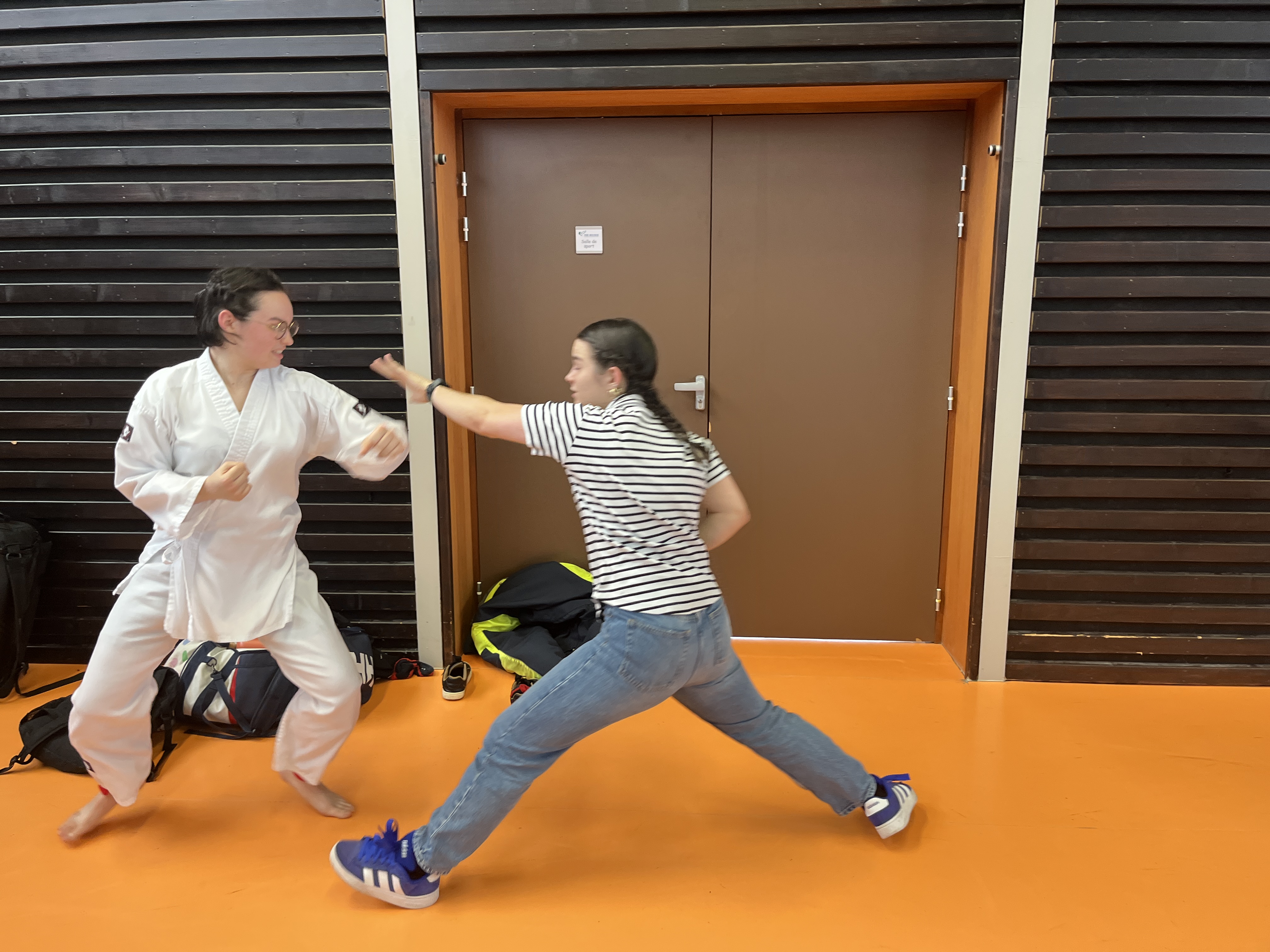 Basse Normandie karaté club de karaté esprit de la main vide condé sur noireau condé en normandie Valdallière Vassy Karaté Shotokan calvados basse normandie orne manche